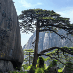 DOVYDWUSYNZKMWX3L1JF - 🌍NewspaperAmigo – Your Global News Buddy 🗞️ 🌄 Huangshan's Natural Wonders Drive Tourism Boom & Social Media Frenzy