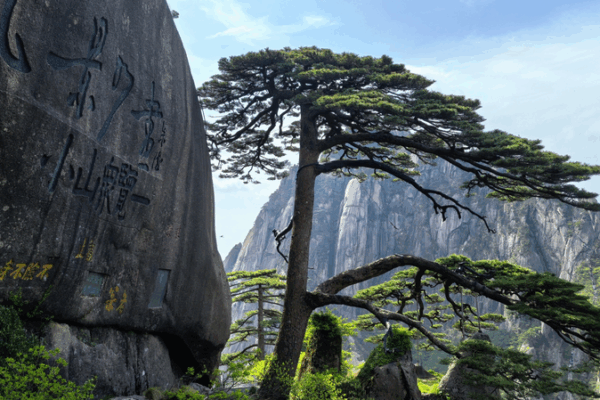 🌄 Huangshan’s Natural Wonders Drive Tourism Boom & Social Media Frenzy 🌄 Huangshan's Natural Wonders Drive Tourism Boom & Social Media Frenzy