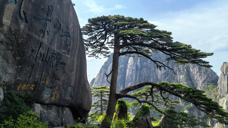 🌄 Huangshan's Natural Wonders Drive Tourism Boom & Social Media Frenzy