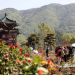 GAWOH7D5KJK3UCPL03YW - 🌍NewspaperAmigo – Your Global News Buddy 🗞️ 🌹 AI Meets Roses: Beijing's Tech-Bloom Revives Tourism