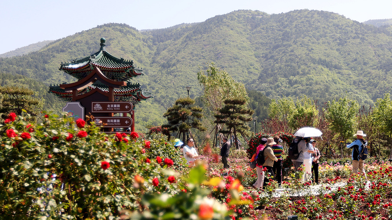 GAWOH7D5KJK3UCPL03YW - 🌍NewspaperAmigo – Your Global News Buddy 🗞️ 🌹 AI Meets Roses: Beijing's Tech-Bloom Revives Tourism