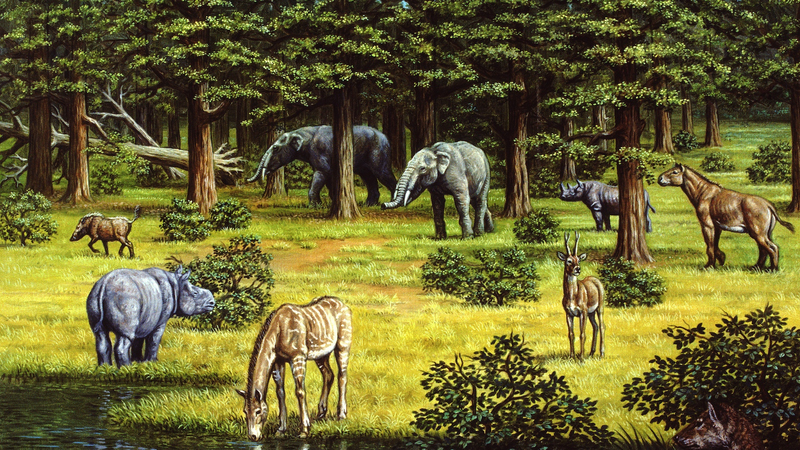 🌿 Plants Drove Faster Climate Shifts 5 Million Years Ago, Study Finds 🌍