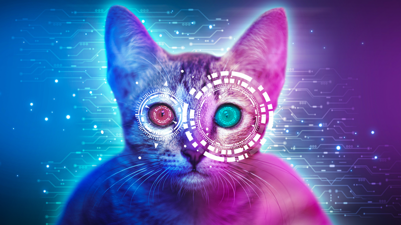 HOMK39MEXRDHMPSMD8BD - 🌍NewspaperAmigo – Your Global News Buddy 🗞️ Baidu Aims to Translate Animal Sounds with AI 🐾🤖