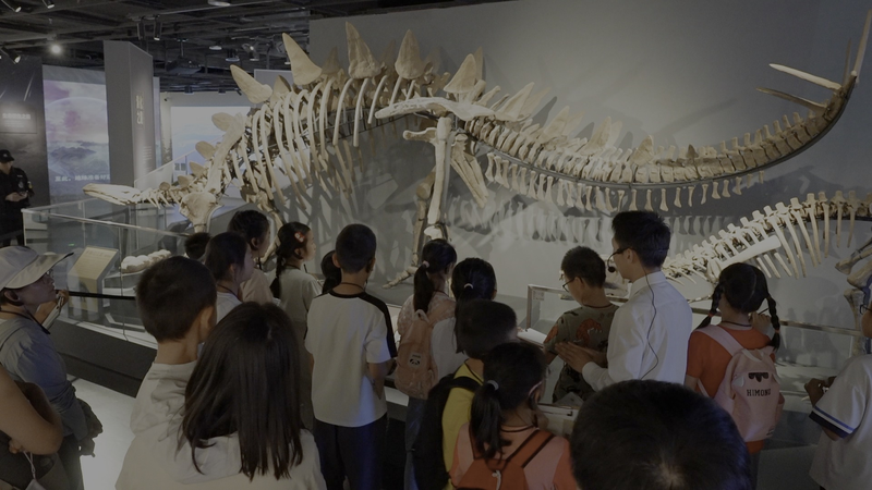Museums Reimagined: China’s Classrooms Beyond Walls ๐๏ธ๐ Museums Reimagined: China's Classrooms Beyond Walls ๐๏ธ๐ video poster