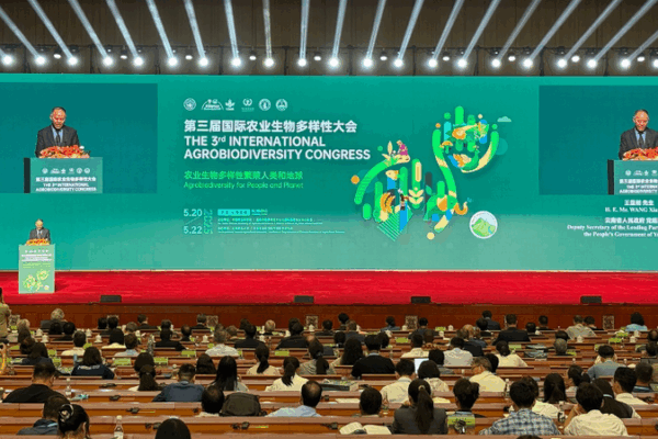 Global Experts Unite in SW China to Boost Agrobiodiversity 🌱🌍 Global Experts Unite in SW China to Boost Agrobiodiversity 🌱🌍