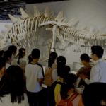 IJSVXMYAGY78SYO251SL - 🌍NewspaperAmigo – Your Global News Buddy 🗞️ Museums Reimagined: China’s Youth Embrace Heritage Through STEAM & Craft 🎨🏛️ video poster