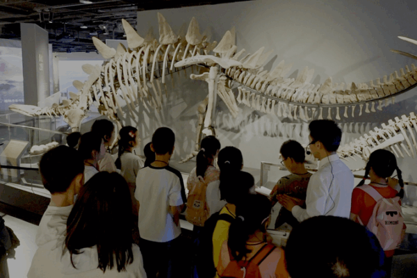 Museums Reimagined: China’s Youth Embrace Heritage Through STEAM & Craft 🎨🏛️ Museums Reimagined: China’s Youth Embrace Heritage Through STEAM & Craft 🎨🏛️ video poster