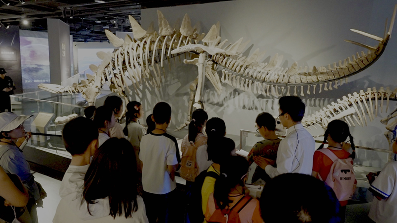 IJSVXMYAGY78SYO251SL - 🌍NewspaperAmigo – Your Global News Buddy 🗞️ Museums Reimagined: China’s Youth Embrace Heritage Through STEAM & Craft 🎨🏛️ video poster