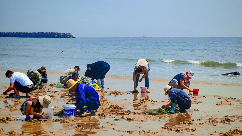 JSLTLJT095RPIZJQBIJC - 🌍NewspaperAmigo – Your Global News Buddy 🗞️ Rizhao's Clam-Digging Frenzy Lures Beach Explorers 🏖️🌊