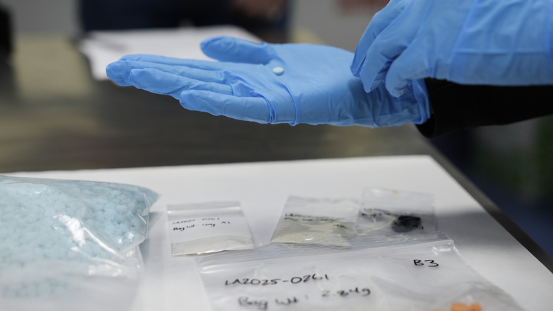 Survey Spotlights U.S. Drug Crisis: 12% of Global Users 🌎💊