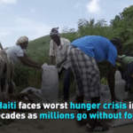 LGNL35UQ8MP88XWV6OZ7 - 🌍NewspaperAmigo – Your Global News Buddy 🗞️ Haiti's Hunger Crisis Deepens: Millions Face Starvation 🌍🍴 video poster