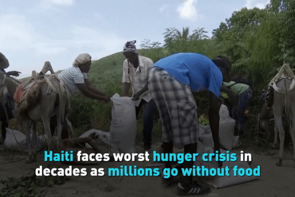 Haiti’s Hunger Crisis Deepens: Millions Face Starvation 🌍🍴 Haiti's Hunger Crisis Deepens: Millions Face Starvation 🌍🍴 video poster