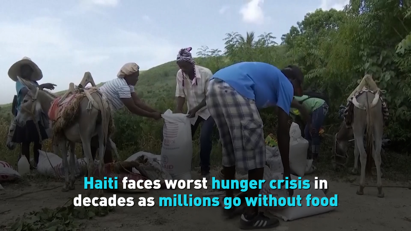 Haiti's Hunger Crisis Deepens: Millions Face Starvation 🌍🍴 video poster