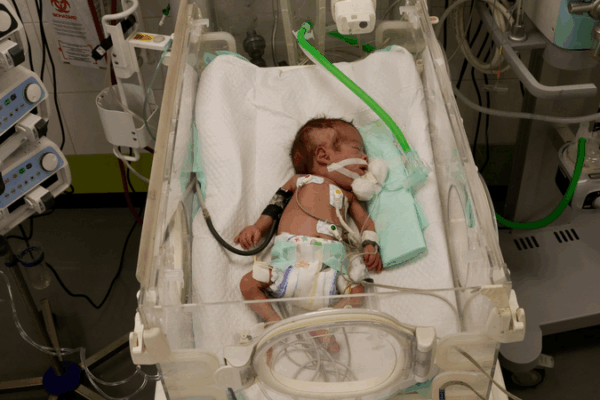 Gaza Crisis: 14,000 Babies at Risk of Death in 48 Hours, UN Warns ๐จ Gaza Crisis: 14,000 Babies at Risk of Death in 48 Hours, UN Warns ๐จ