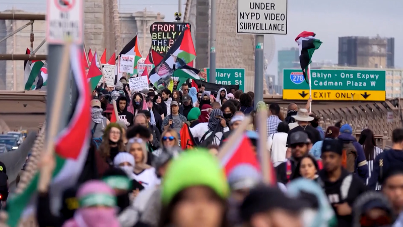 NYC Marches Mark Nakba Anniversary Amid Gaza Conflict 🌍✊ NYC Marches Mark Nakba Anniversary Amid Gaza Conflict 🌍✊ video poster