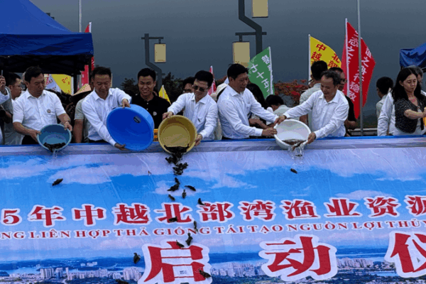 China & Vietnam Team Up to Revive Marine Life ๐๐ China & Vietnam Team Up to Revive Marine Life ๐๐ video poster