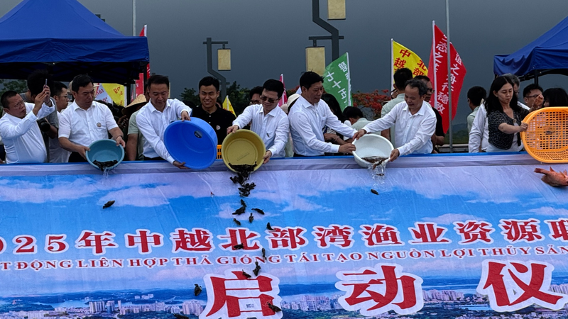 China & Vietnam Team Up to Revive Marine Life 🌊🐟 video poster