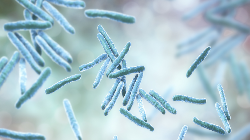 Chinese Scientists Engineer Super Bacteria to Tackle Toxic Waste 🌍🔬 Chinese Scientists Engineer Super Bacteria to Tackle Toxic Waste 🌍🔬