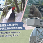NAOOT2TJ85B3JEBMGVPY - 🌍NewspaperAmigo – Your Global News Buddy 🗞️ 🌳 Veteran Ranger’s Farewell to Guilin’s ‘Mountain Guardian’ Role 🏞️