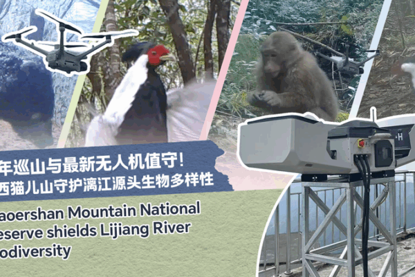 🌳 Veteran Ranger’s Farewell to Guilin’s ‘Mountain Guardian’ Role 🏞️ 🌳 Veteran Ranger’s Farewell to Guilin’s ‘Mountain Guardian’ Role 🏞️