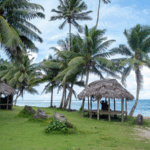 NNSF1PCWAU8R287FWDY7 - 🌍NewspaperAmigo – Your Global News Buddy 🗞️ China & Pacific Islands Team Up for Climate Resilience 🌱🌊