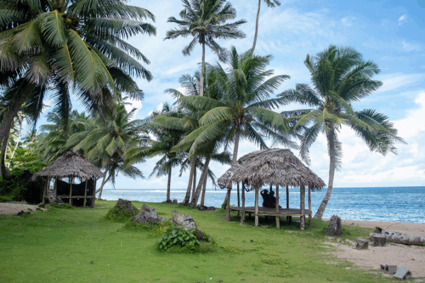 China & Pacific Islands Team Up for Climate Resilience 🌱🌊 China & Pacific Islands Team Up for Climate Resilience 🌱🌊
