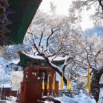 O7HV6GO7FJYQ6GZHZAFA - 🌍NewspaperAmigo – Your Global News Buddy 🗞️ ❄️ Winter Wonderland: Hengshan Mountain Transforms into Icy Paradise video poster