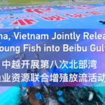 PFCSKB8AXT6FMUNT3QS4 - 🌍NewspaperAmigo – Your Global News Buddy 🗞️ 🌊🐟 China & Vietnam Team Up to Restock Beibu Gulf Fisheries! video poster