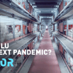 S6VCL90OPGRZSPBXILBF - 🌍NewspaperAmigo – Your Global News Buddy 🗞️ Bird Flu Alert: Could H5N1 Spark the Next Pandemic? 🦠🌍 video poster