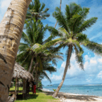 SB7E9MA0CXOTIRWEO8O0 - 🌍NewspaperAmigo – Your Global News Buddy 🗞️ China Strengthens Ties with Pacific Nations at Key Summit 🌏🤝