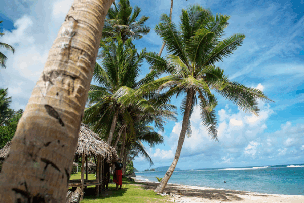 China Strengthens Ties with Pacific Nations at Key Summit ππ€ China Strengthens Ties with Pacific Nations at Key Summit ππ€