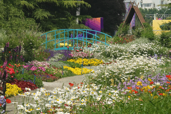 Beijing Park Blooms Into Real-Life Monet Masterpiece 🎨🌸 Beijing Park Blooms Into Real-Life Monet Masterpiece 🎨🌸
