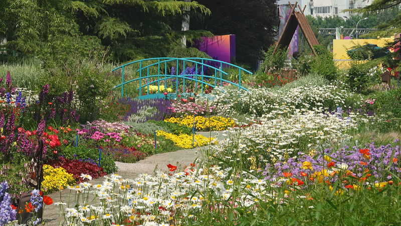 T5A70E7A5KOH9NAUNC11 - 🌍NewspaperAmigo – Your Global News Buddy 🗞️ Beijing Park Blooms Into Real-Life Monet Masterpiece 🎨🌸