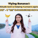 TDGJRNBDEOCPQIG55OUS - 🌍NewspaperAmigo – Your Global News Buddy 🗞️ Yunnan’s Banana Farmers Take Flight with Drone Tech 🚁🍌 video poster