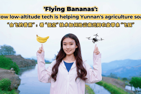 Yunnan’s Banana Farmers Take Flight with Drone Tech 🚁🍌 Yunnan’s Banana Farmers Take Flight with Drone Tech 🚁🍌 video poster