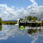 VE76LIQ1NS9ZWFA1SSY2 - 🌍NewspaperAmigo – Your Global News Buddy 🗞️ 🌿 Tech Meets Nature: Yichun Leads Global Biodiversity Day 2025
