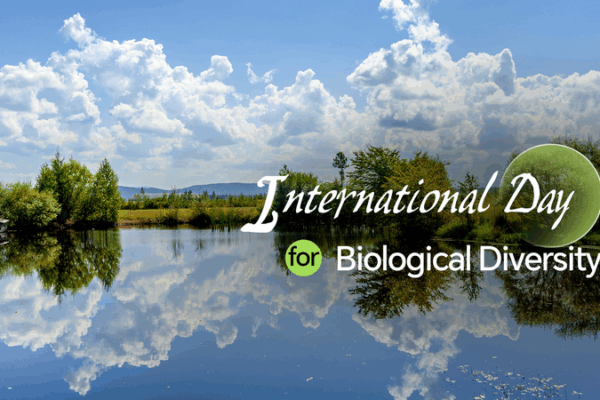 🌿 Tech Meets Nature: Yichun Leads Global Biodiversity Day 2025 🌿 Tech Meets Nature: Yichun Leads Global Biodiversity Day 2025