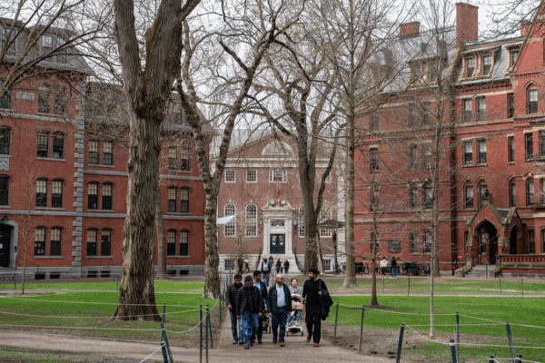 Harvard International Students Face Enrollment Freeze After Trump Move 🚫🌍 Harvard International Students Face Enrollment Freeze After Trump Move 🚫🌍