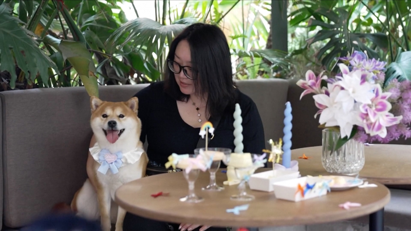 China’s Pet Boom 🐾: Dog Cafés & Luxury Daycares Redefine Care! China’s Pet Boom 🐾: Dog Cafés & Luxury Daycares Redefine Care! video poster