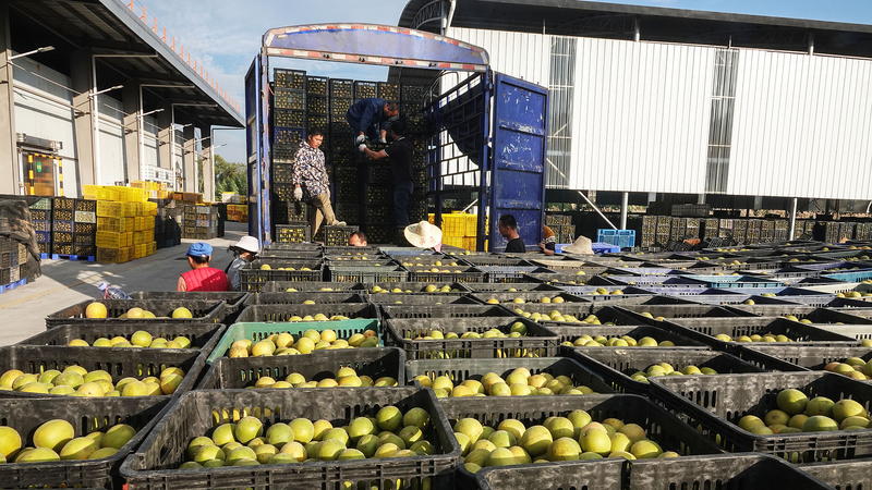Guilin’s Trade Boom: Beyond the Tourist Trails 🌄💼