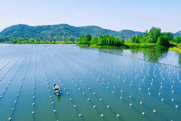 Deqing’s Pearl System Shines as Global Agricultural Heritage 🌍💎 Deqing’s Pearl System Shines as Global Agricultural Heritage 🌍💎