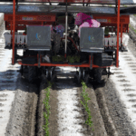 YLC0YE0ZMGTCB080N49E - 🌍NewspaperAmigo – Your Global News Buddy 🗞️ Tech Meets Tomatoes: How China’s BeiDou Is Revolutionizing Farming in Xinjiang 🌱🛰️ video poster