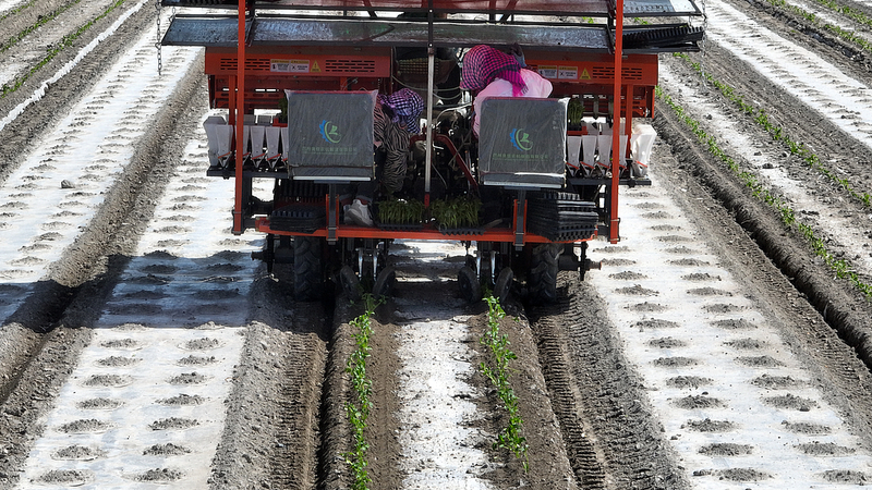 Tech Meets Tomatoes: How China’s BeiDou Is Revolutionizing Farming in Xinjiang 🌱🛰️ video poster
