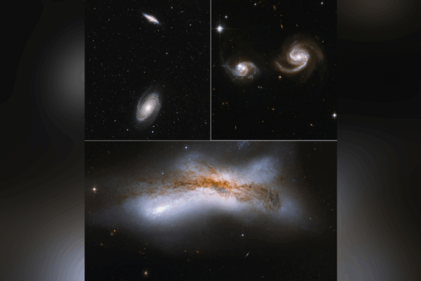 Milky Way’s Cosmic Dance: A 50% Chance of Survival 🌌🎲 Milky Way's Cosmic Dance: A 50% Chance of Survival 🌌🎲