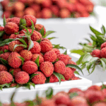 2RRFSGVHQT011J6SOS15 - 🌍NewspaperAmigo – Your Global News Buddy 🗞️ Haikou’s Volcanic Lychees Sweeten Rural Revitalization 🌋🍈