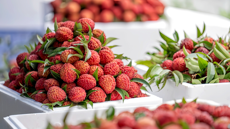 Haikou’s Volcanic Lychees Sweeten Rural Revitalization 🌋🍈