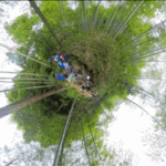 🌱 Bamboo Forest Run: Sweat for the Planet This World Environment Day! video poster