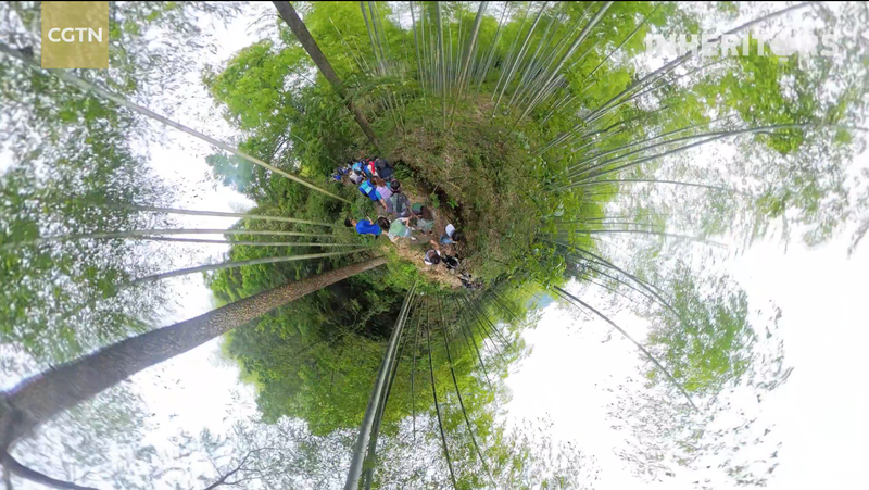 44C78QR1GO907NXUNI5H - 🌍NewspaperAmigo – Your Global News Buddy 🗞️ 🌱 Bamboo Forest Run: Sweat for the Planet This World Environment Day! video poster