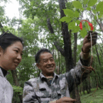 4BY4978FJ7KLF6QFYM0E - 🌍NewspaperAmigo – Your Global News Buddy 🗞️ Ji'an’s Rural Revolution: How ‘One Village, One Product’ Sparks Sustainable Growth 🌱🏡 video poster