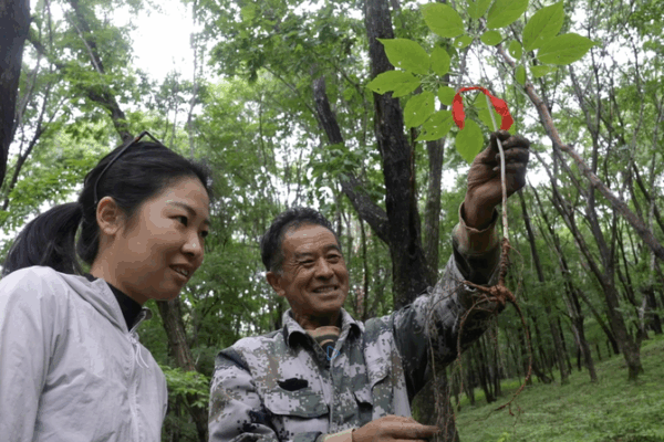 Ji’an’s Rural Revolution: How ‘One Village, One Product’ Sparks Sustainable Growth 🌱🏡 Ji'an’s Rural Revolution: How ‘One Village, One Product’ Sparks Sustainable Growth 🌱🏡 video poster